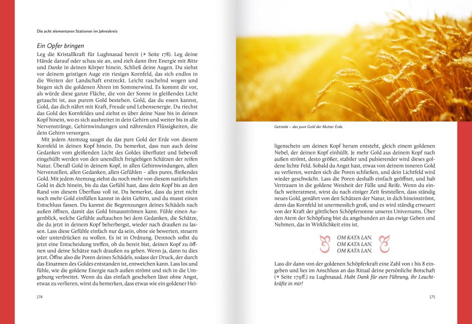 InsideView 5