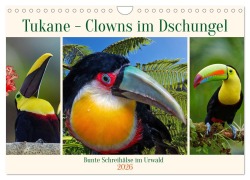 Cover-Bild zum Titel 'Tukane - Clowns im Dschungel (Wandkalender 2026 DIN A4 quer), CALVENDO Monatskalender' von 'Claudia Kleemann'