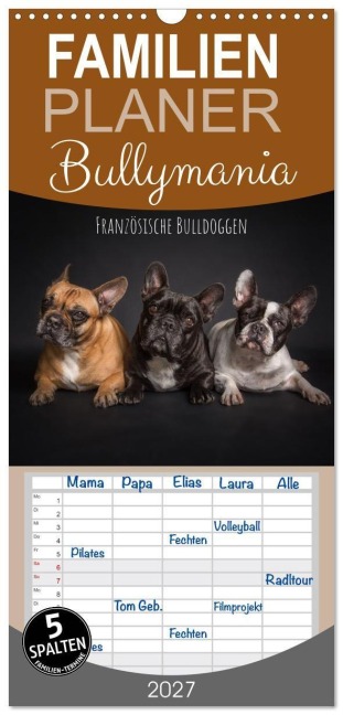 Familienplaner 2027 - Bullymania - Französische Bulldoggen mit 5 Spalten (Wandkalender, 21 x 45 cm) CALVENDO - Silke Gareis (SCHNAPP-Schuss)