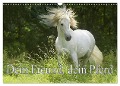 Dein Freund, dein Pferd (Wandkalender 2024 DIN A3 quer), CALVENDO Monatskalender - Erika Müller