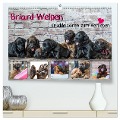 Briard-Welpen - Knuddelbären zum Verlieben (hochwertiger Premium Wandkalender 2025 DIN A2 quer), Kunstdruck in Hochglanz - Sonja Teßen