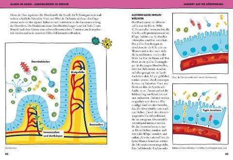 InsideView 6