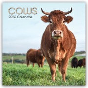 Cows - Kühe 2026 - 16-Monatskalender - Gifted Stationery Co. Ltd