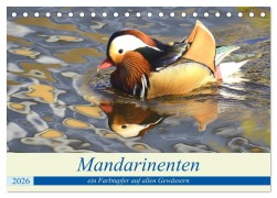 Cover-Bild zum Titel 'Mandarinenten, ein Farbtupfer auf allen Gewässern. (Tischkalender 2026 DIN A5 quer), CALVENDO Monatskalender' von 'Rufotos Rufotos'