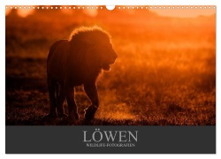 Cover-Bild zum Titel 'Löwen Wildlife-Fotografien (Wandkalender 2027 DIN A3 quer), CALVENDO Monatskalender' von 'Christina Krutz'