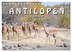 Cover-Bild zum Titel 'Antilopen, schön und schnell (Tischkalender 2026 DIN A5 quer), CALVENDO Monatskalender' von 'Robert Styppa'