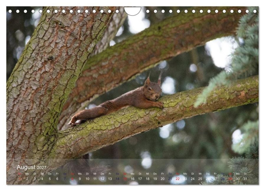 InsideView 13
