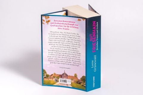 InsideView 6