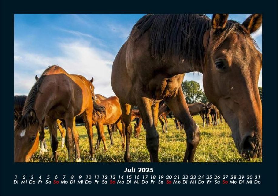 InsideView 11