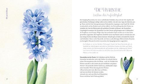 InsideView 6