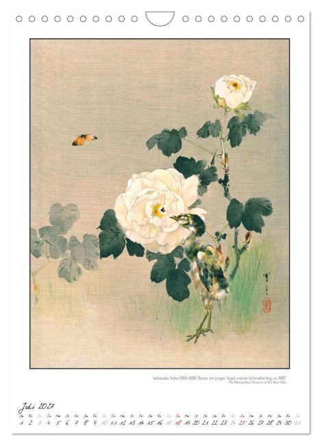 InsideView 12
