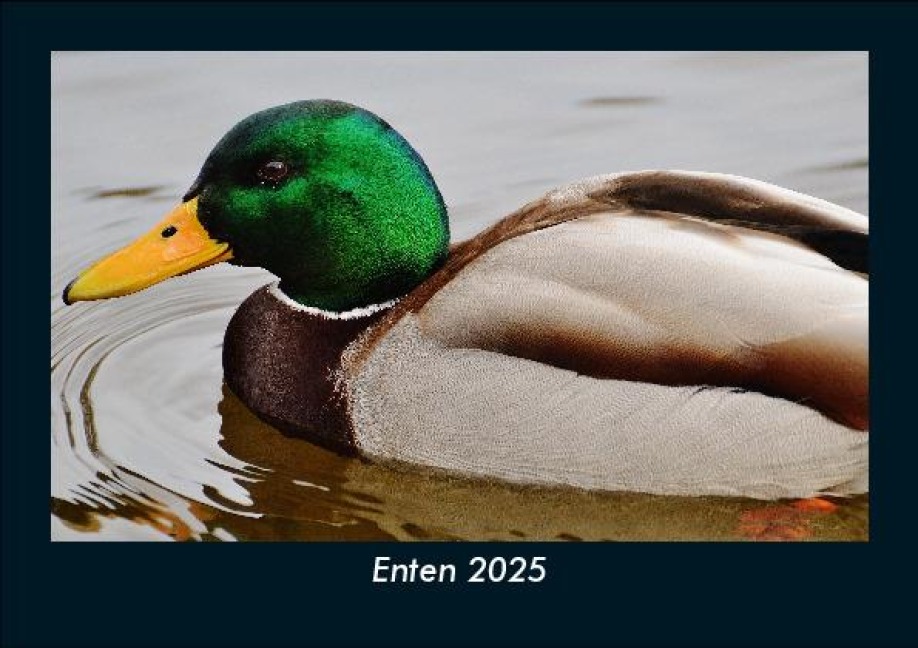 Enten 2025 Fotokalender DIN A5 - Tobias Becker