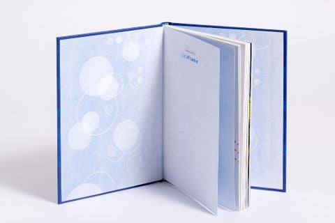 InsideView 2