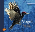 Vögel - Magische Momente - Markus Varesvuo