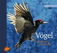 Cover-Bild zum Titel 'Vögel - Magische Momente' von 'Markus Varesvuo'
