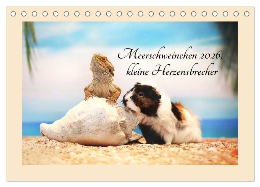 Meerschweinchen 2026, kleine Herzensbrecher (Tischkalender 2026 DIN A5 quer), CALVENDO Monatskalender - Anja Foto Grafia Fotografie