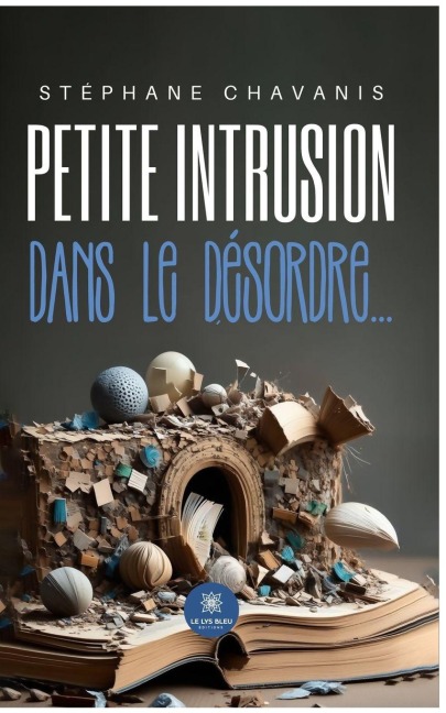 Petite intrusion dans le désordre... - Stéphane Chavanis