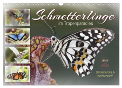 Cover-Bild zum Titel 'Schmetterlinge im Tropenparadies (Wandkalender 2026 DIN A3 quer), CALVENDO Monatskalender' von 'Sabine Löwer'