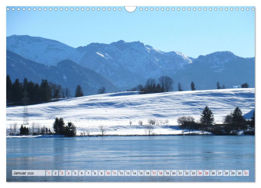 InsideView 6