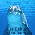 Cover-Bild zum Titel 'Der Delfin' von 'Hypnowelten, Frank Breburda'