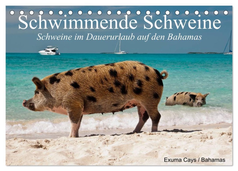 Schwimmende Schweine (Tischkalender 2026 DIN A5 quer), CALVENDO Monatskalender - Elisabeth Stanzer
