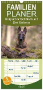 Familienplaner 2025 - Belgischer Schäferhund - Der Malinois mit 5 Spalten (Wandkalender, 21 x 45 cm) CALVENDO - Tanja Brandt