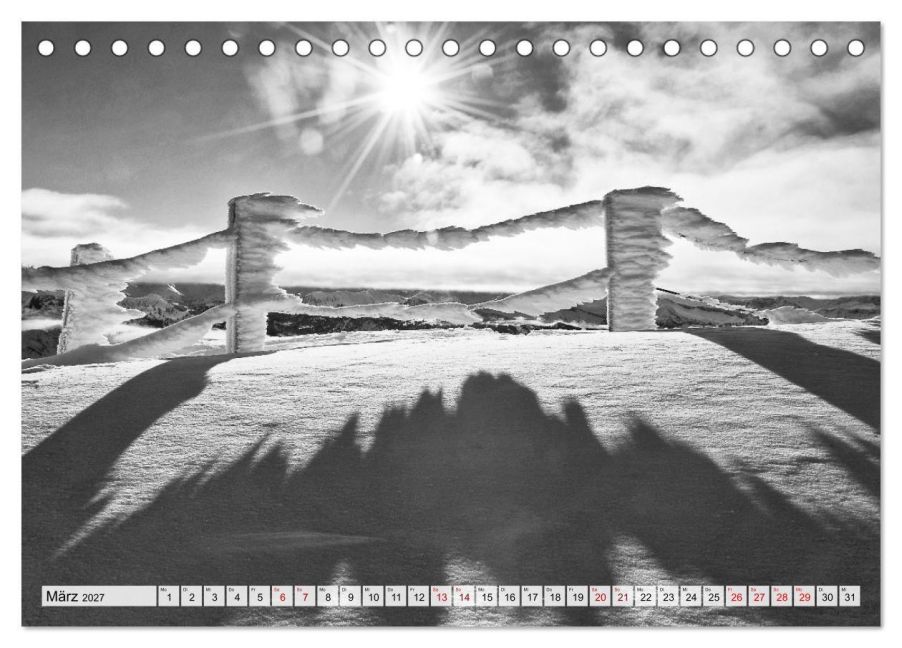 InsideView 8