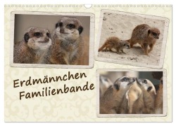 Cover-Bild zum Titel 'Erdmännchen Familienbande (Wandkalender 2026 DIN A3 quer), CALVENDO Monatskalender' von 'Chawera Chawera'