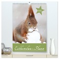Eichhörnchen - Planer (hochwertiger Premium Wandkalender 2025 DIN A2 hoch), Kunstdruck in Hochglanz - Birgit Cerny