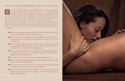 InsideView 6