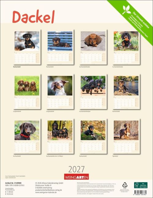 InsideView 15