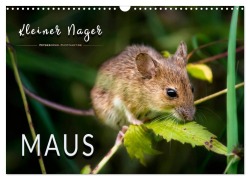 Cover-Bild zum Titel 'Kleiner Nager - Maus (Wandkalender 2026 DIN A3 quer), CALVENDO Monatskalender' von 'Peter Roder'
