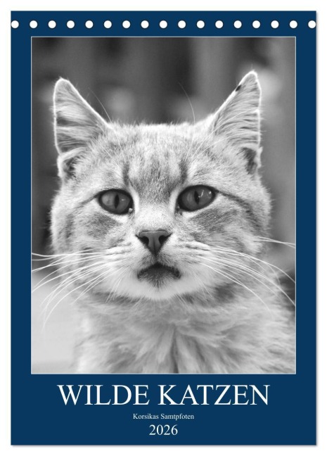 Wilde Katzen - Korsikas Samtpfoten (Tischkalender 2026 DIN A5 hoch), CALVENDO Monatskalender - Claudia Schimmack