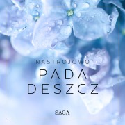 Cover-Bild zum Titel 'Nastrojowo - Pada deszcz' von 'Rasmus Broe'