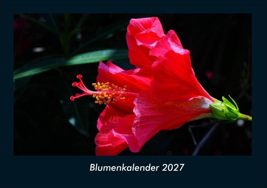 Blumenkalender 2027 Fotokalender DIN A4 - Tobias Schmitt, Kevin Heber