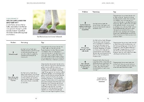 InsideView 5