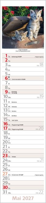 InsideView 5