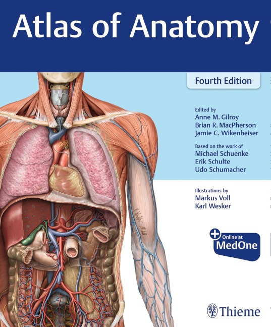 Atlas of Anatomy - Anne M Gilroy, Brian R MacPherson, Erik Schulte, Michael Schuenke, Jamie Wikenheiser