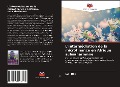 Cover-Bild zum Titel 'L'intermédiation de la microfinance en Afrique subsaharienne' von 'Joel Oke'