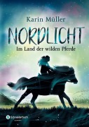Cover-Bild zum Titel 'Nordlicht, Band 01' von 'Karin Müller'
