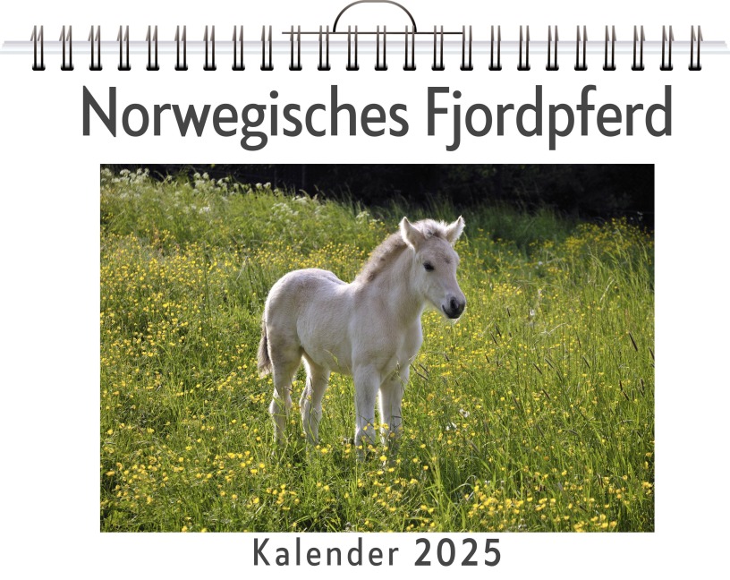 Norwegisches Fjordpferd - Charlotte Herrmann