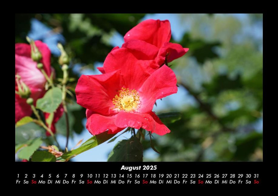 InsideView 12