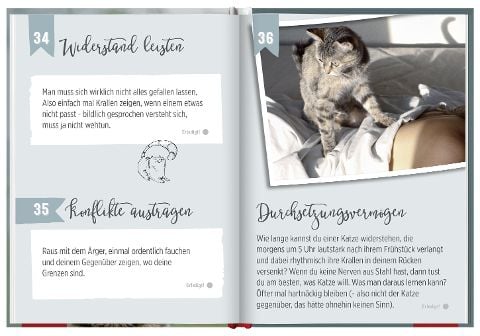 InsideView 3