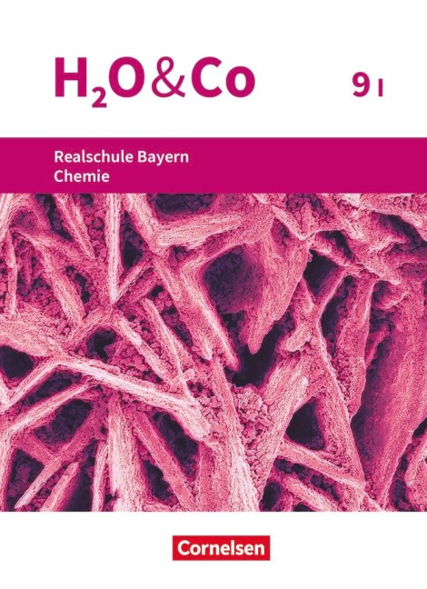 H2O & Co 9. Schuljahr - Wahlpflichtfächergruppe I - Realschule Bayern - Schülerbuch - Christian Eiblmeier, Petra Kring, Matthias Niedermeier, Peter Pfeifer, Susanne Schaffer
