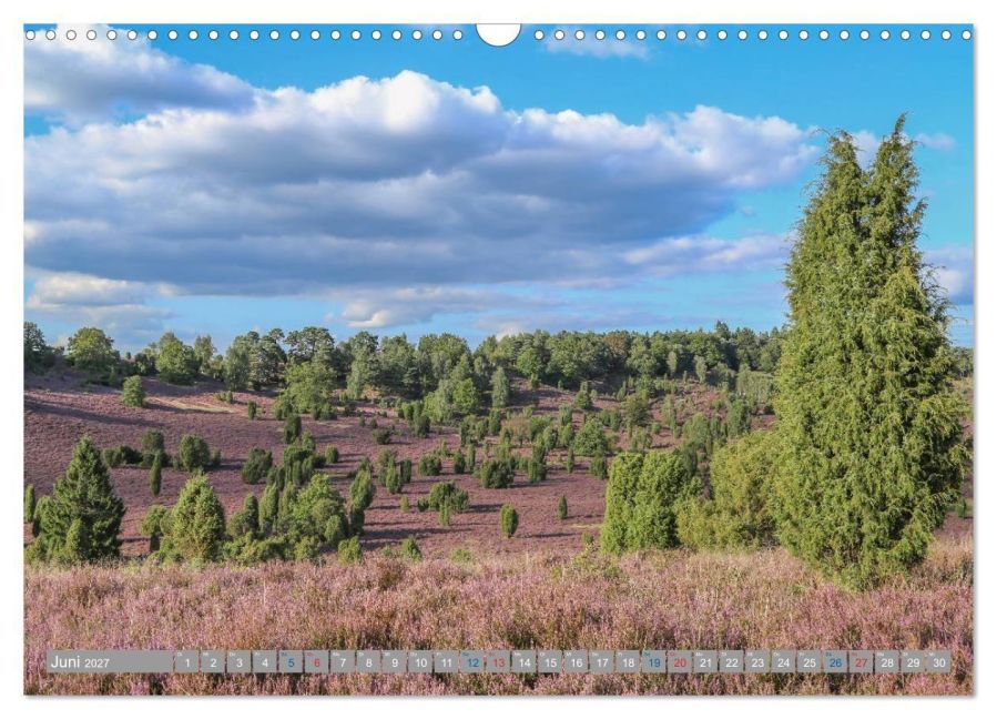 InsideView 11