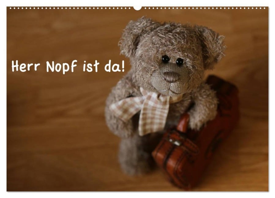 Herr Nopf ist da! (Wandkalender 2026 DIN A2 quer), CALVENDO Monatskalender - Michaela Kanthak