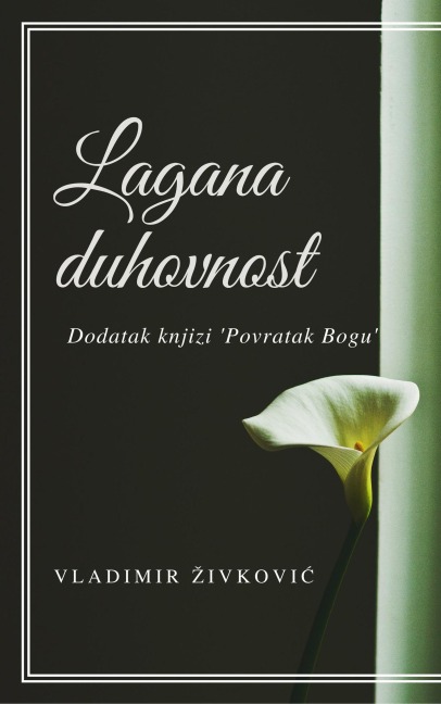 Lagana duhovnost: dodatak knjizi "Povratak Bogu" (Savremena duhovnost, #2) - Vladimir Zivkovic