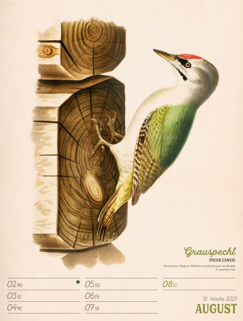 InsideView 35