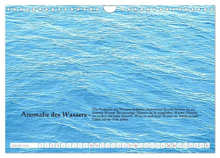 InsideView 6