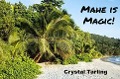 Mahe is Magic - Crystal Tarling